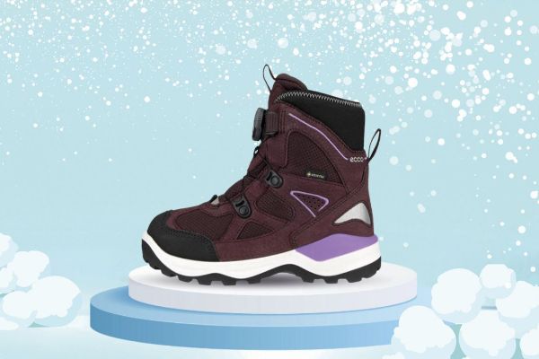 Bilde av ECCO SNOW MOUNTAIN gtx BOA