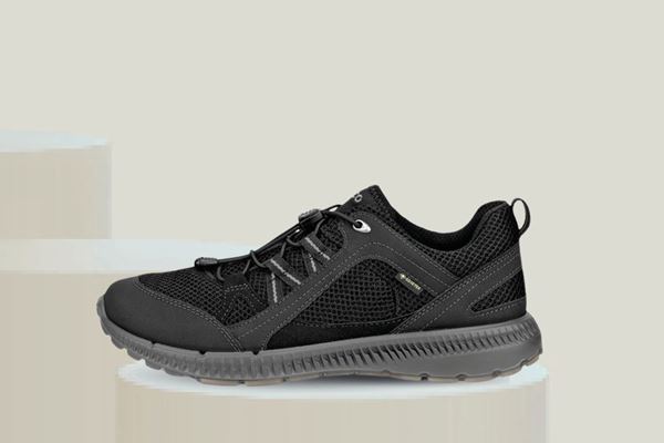 Bilde av ECCO TERRACRUISE II W GTX