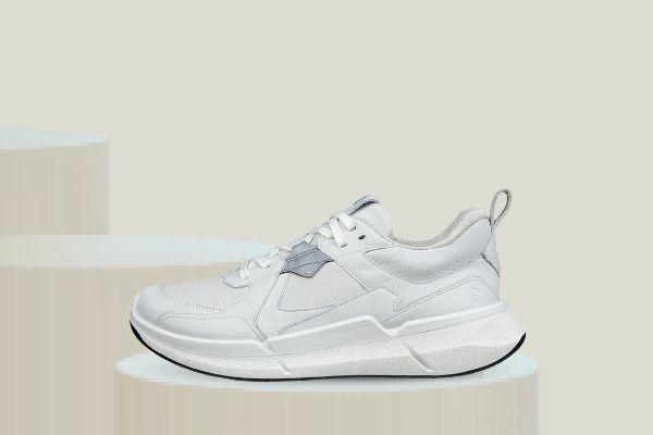 Bilde av ECCO BIOM 2.2 Gtx