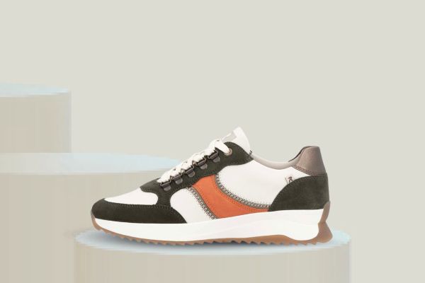 Bilde av rieker evolution