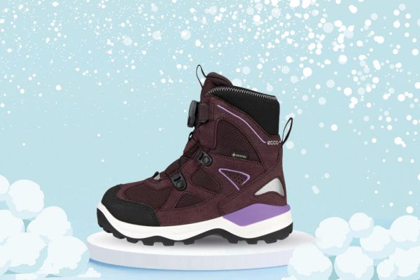 Bilde av ECCO SNOW MOUNTAIN gtx BOA